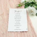 biglietto tableau modello aereo