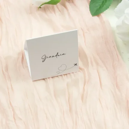 Segnagusto confetti modello aereo